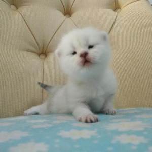 360黑客解密家居摄像头
